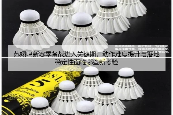 苏翊鸣新赛季备战进入关键期，动作难度提升与落地稳定性面临哪些新考验